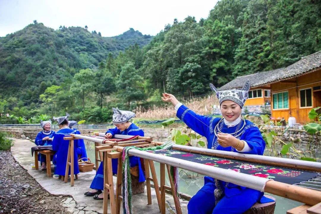 1690768730340018624.jpg 6.jpg