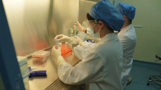 1741137215431045193.jpg 3.jpg