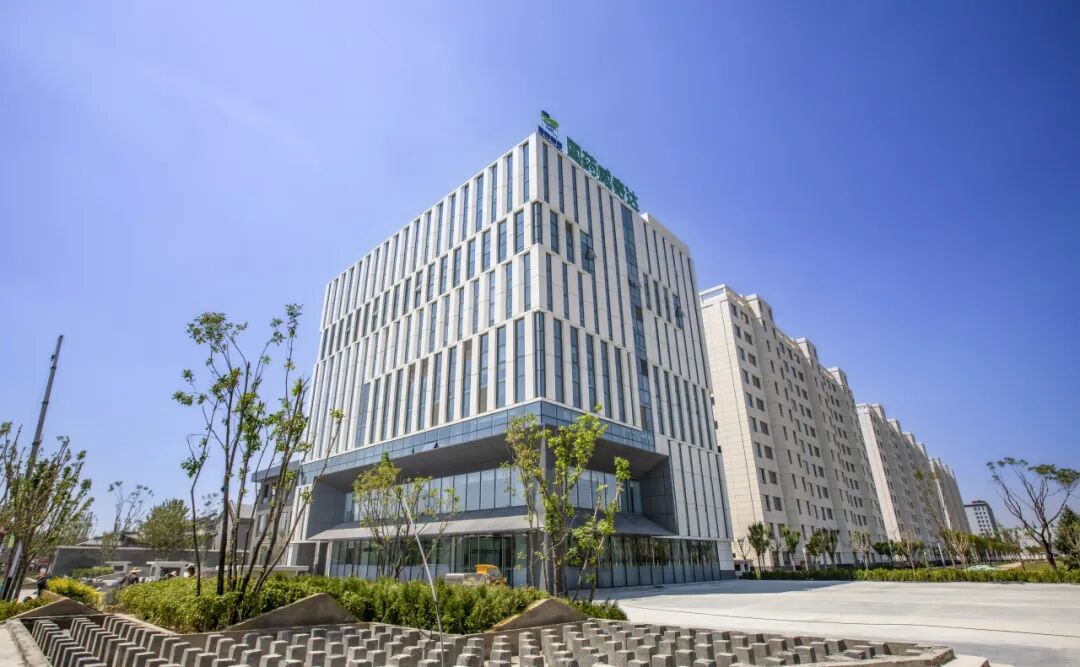 1768814286796028700.jpg 2.jpg