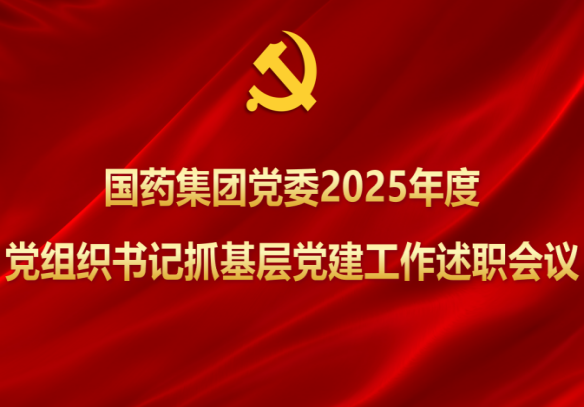 开云在线开户_开云(中国)党委召开2025年度党组织书记抓基层党建工作述职会议